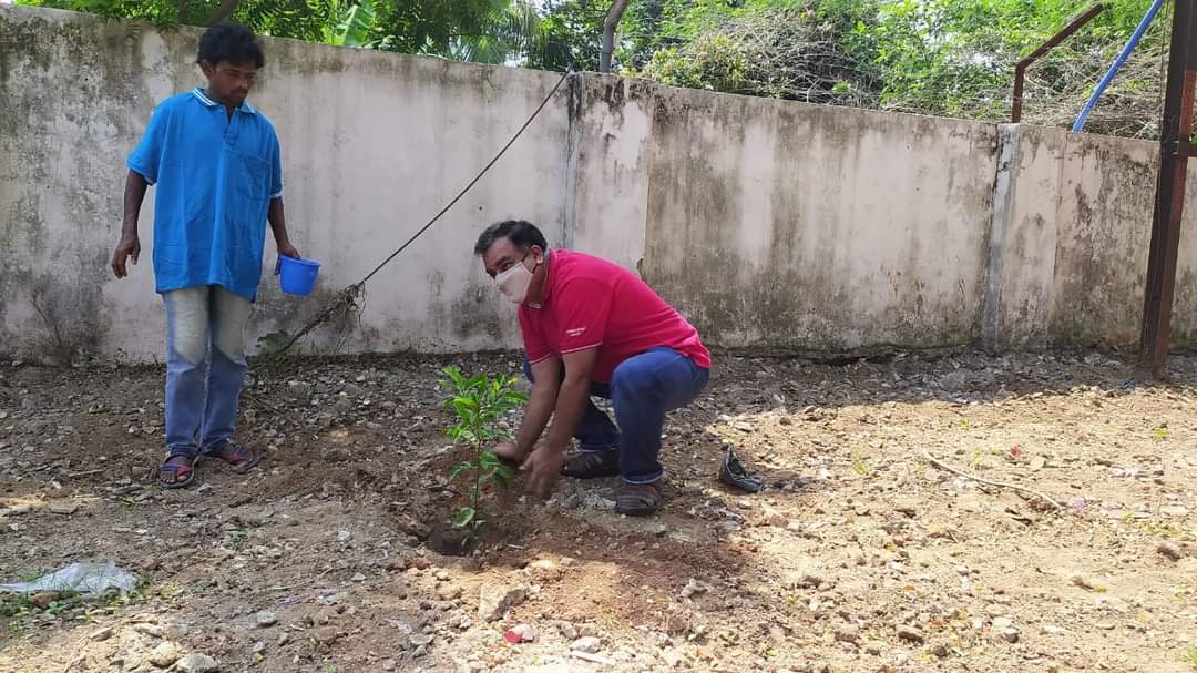 World Environment Day